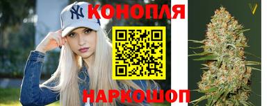 стаф Будённовск