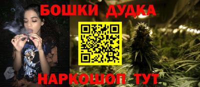 стаф Будённовск